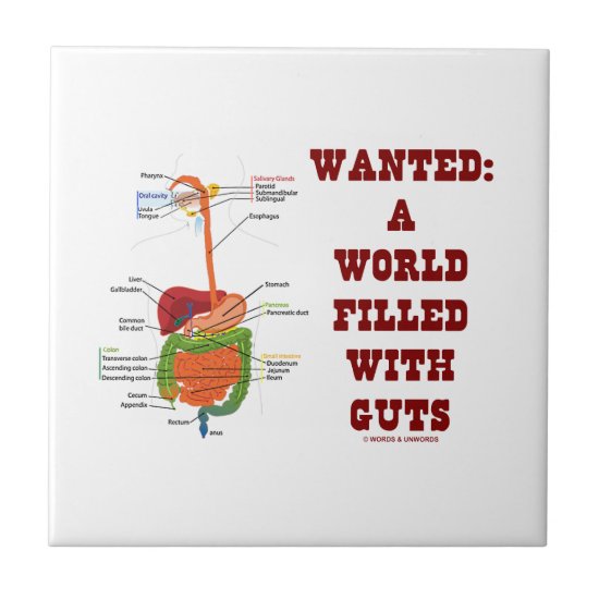 Wanted A World Filled With Guts (Digestive System) Tile