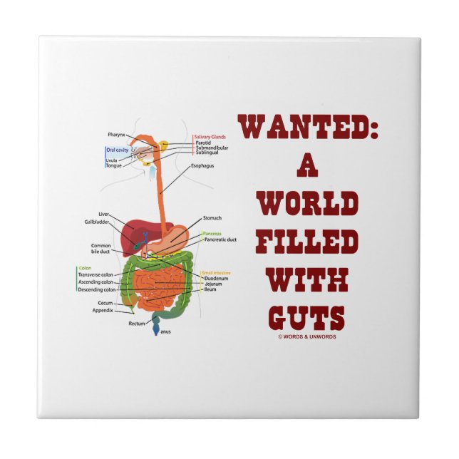 Wanted A World Filled With Guts (Digestive System) Tile (Front)