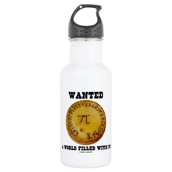 Wanted A World Filled With Pi (Pi Pie Math Humor) Stainless Steel Water Bottle