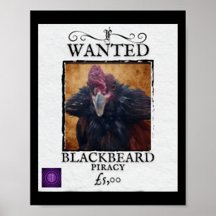 Wanted Blackbeard Chicken Funny Pirate Poster Desi