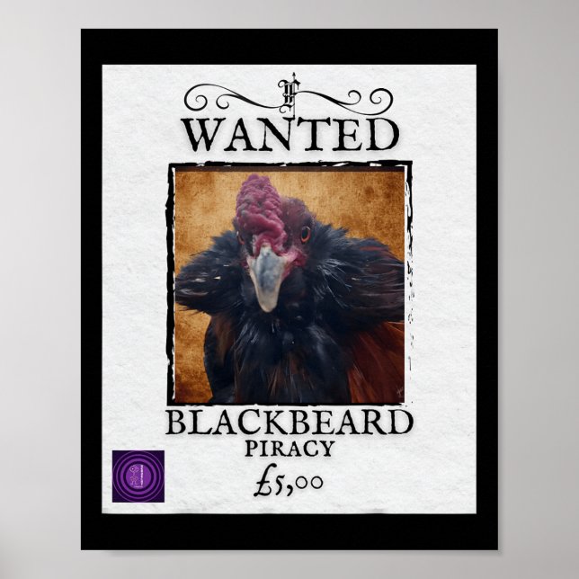 Wanted Blackbeard Chicken Funny Pirate Poster Desi (Front)