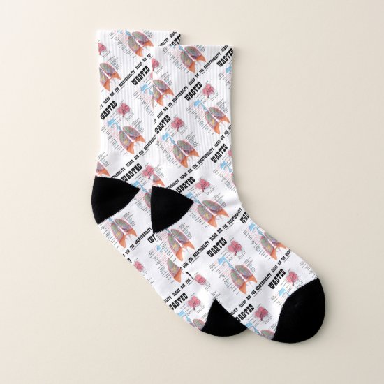 Wanted Clean Air For Breathability Respire Humor Socks