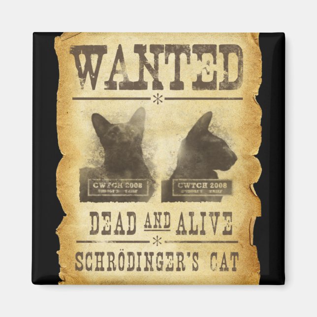 Wanted dead and alive.  Schroedinger's cat. Magnet (Front)