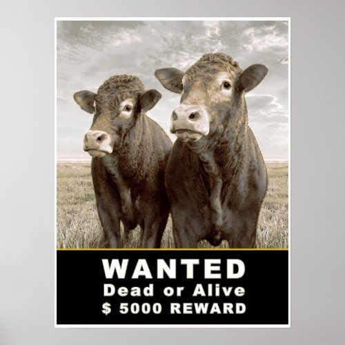 WANTED Dead or Alive  5000 REWARD Poster