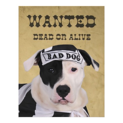 Wanted dead or alive flyer