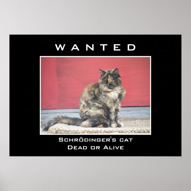Wanted Poster (Front)