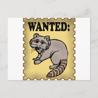 Wanted Raccoon Postcard