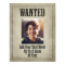 WANTED Wild West vintage