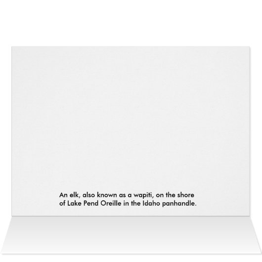 Wapiti (Elk) By The Lake (Inside Horizontal (Top))