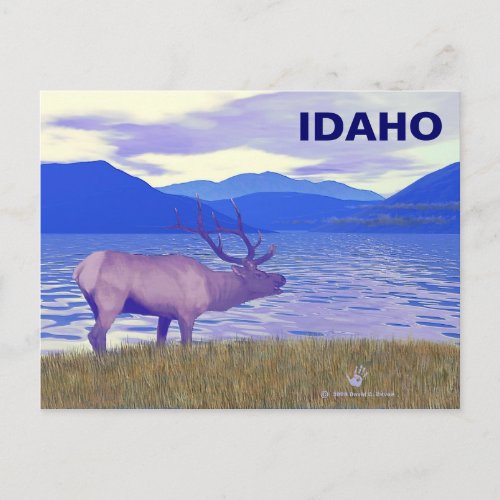 Wapiti Elk By The Lake Postcard