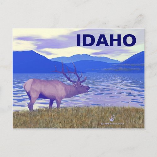 Wapiti Elk By The Lake Postcard