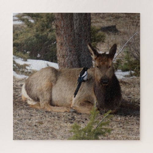 Wapiti Elk  Magpie  Jigsaw Puzzle