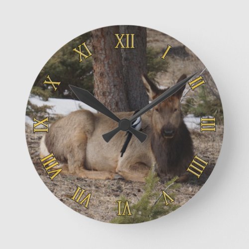 Wapiti Elk  Magpie Round Clock