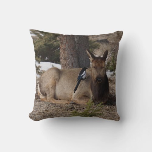 Wapiti Elk  Magpie Throw Pillow