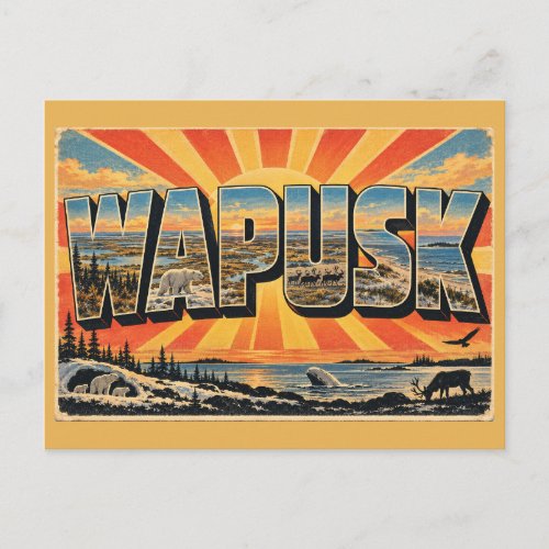 Wapusk National Park Tundra Polar Bear Art Postcard