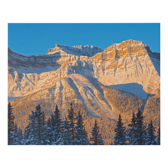 Waputik Range in Canadian Rocky Mountains Faux Canvas Print (Front)