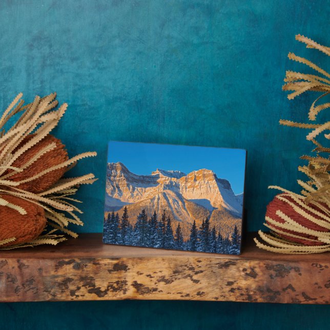 Waputik Range in Canadian Rocky Mountains Plaque (Side)