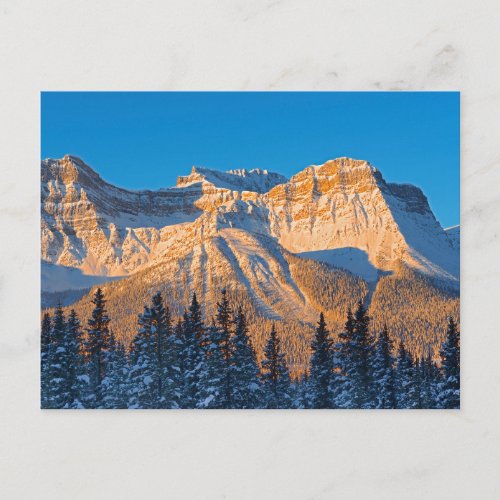 Waputik Range in Canadian Rocky Mountains Postcard