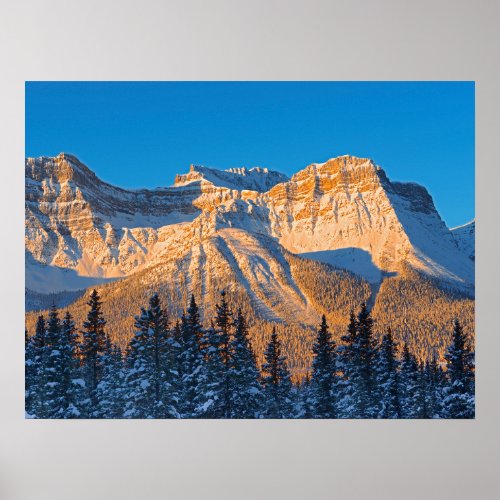 Waputik Range in Canadian Rocky Mountains Poster