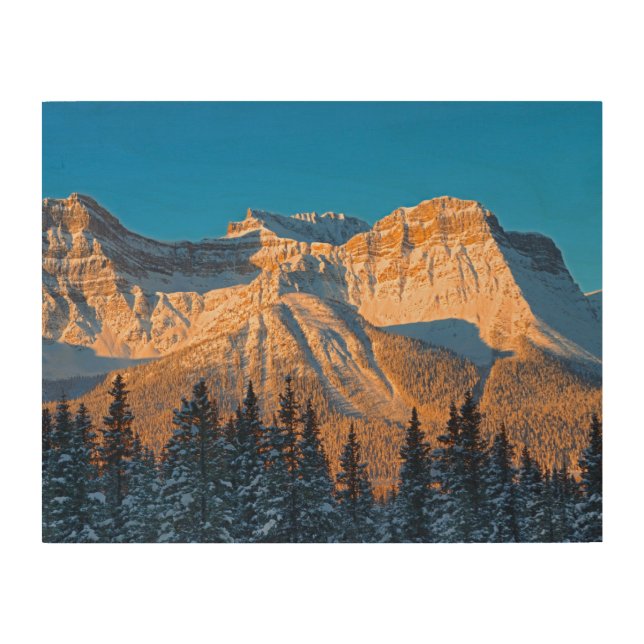 Waputik Range in Canadian Rocky Mountains Wood Wall Art (Front)