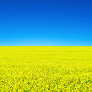 War and Peace Postcard