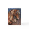 War Pony Notecard