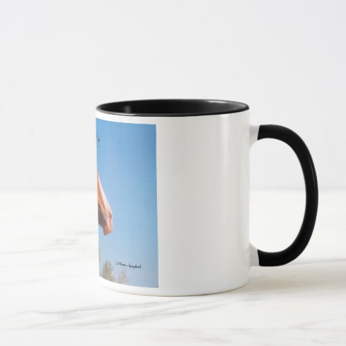 War Pony Paint Horse Feathers Mug