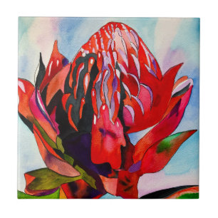 Waratah Australian native flower watercolor Ceramic Tile