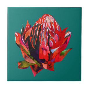 Waratah Australian native flower watercolor Ceramic Tile