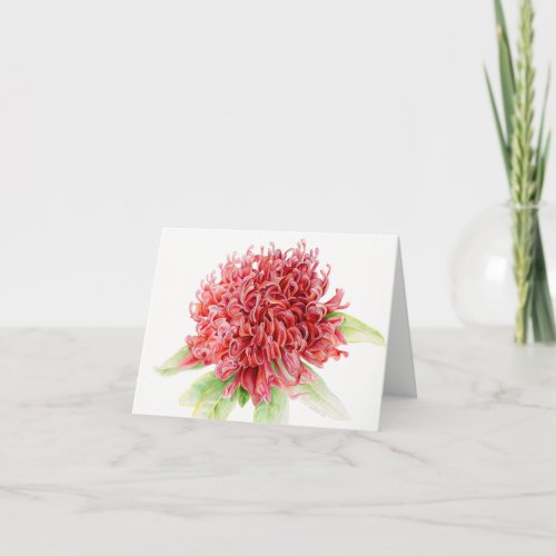 Waratah red floral botanical watercolor art card