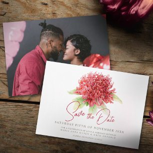 Waratah red flower watercolor photo wedding save the date