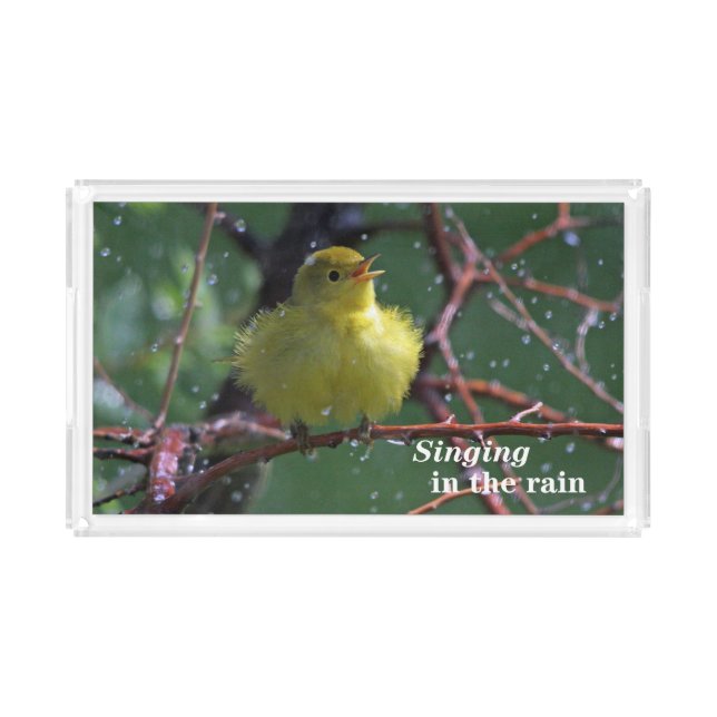Warbler Acrylic Tray (Front)
