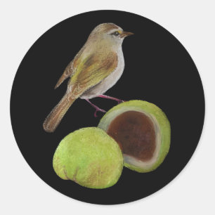 Warbler and Uguisu Mochi Japanese Spring Sticker