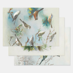 Warbler and Wrens, Wrapping Paper Sheets