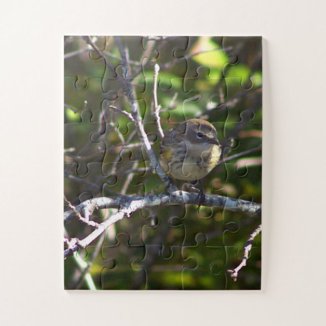 Warbler Bird Photo Puzzle  (Vertical)
