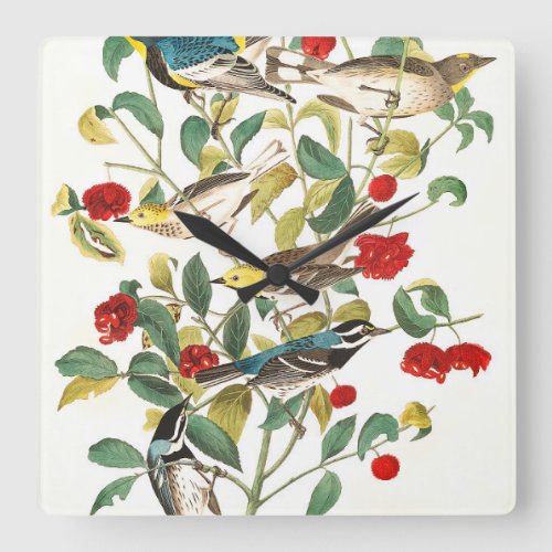 Warbler by John James Audubon Square Wall Clock