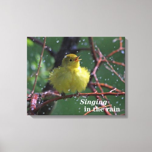 Warbler Canvas Print