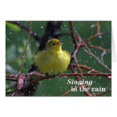 Warbler Cards (Front Horizontal)