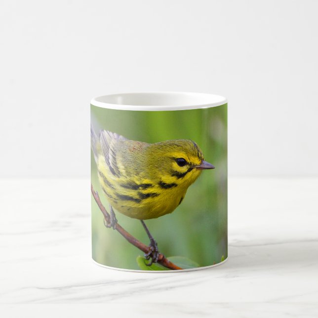 Warbler Coffee Mug (Center)