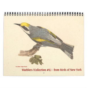 Warbler Collection #1 Lithographs from Birds of NY Calendar