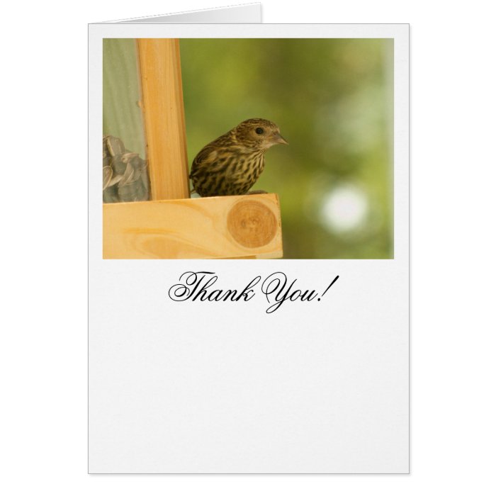 Warbler Having a Snack; Thank You Greeting Cards