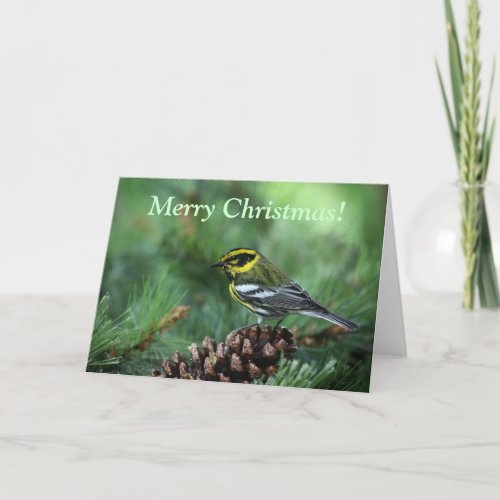 warbler in a winter setting Christmas card