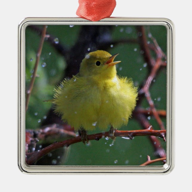 Warbler Metal Ornament (Front)