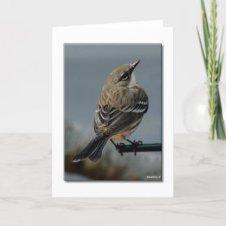 Warbler Note Card
