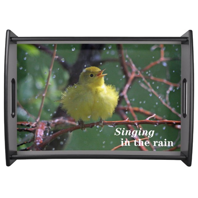 Warbler Serving Tray (Front)