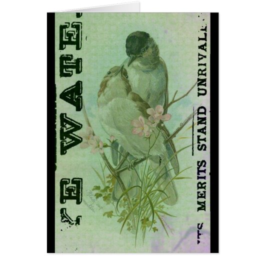 Warbler Vintage Cards (Front)