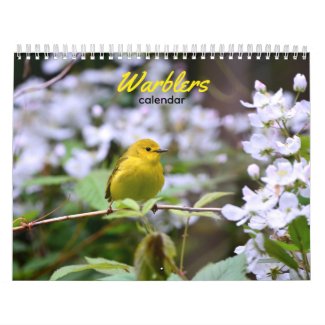 Warblers Calendar