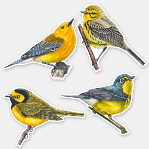 Warblers Stickers Value Pack