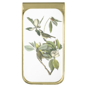 Warbling Vireo by Audubon Gold Finish Money Clip