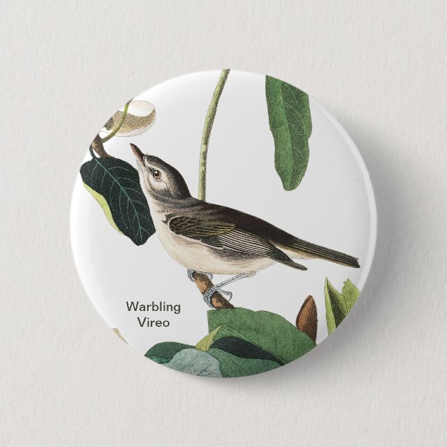 Warbling Vireo John James Audubon Birdwatcher Bird Button (Front)